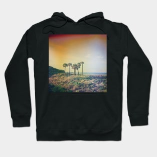 Seven Palm Trees Summer Vibes Hoodie